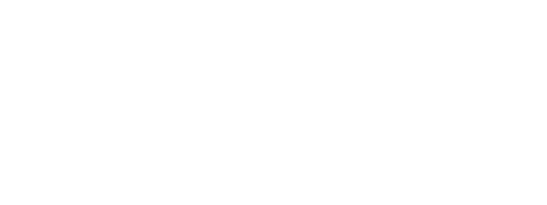 logo_FSv